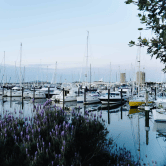 Westhaven Marina - New Zealand